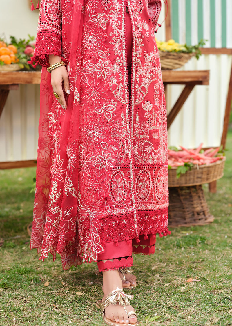 Red embroidered outfit with a blurred outdoor background